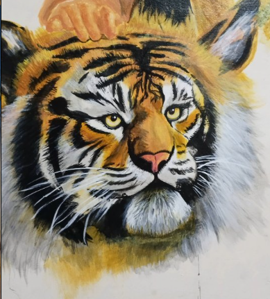 Tiger Portrait